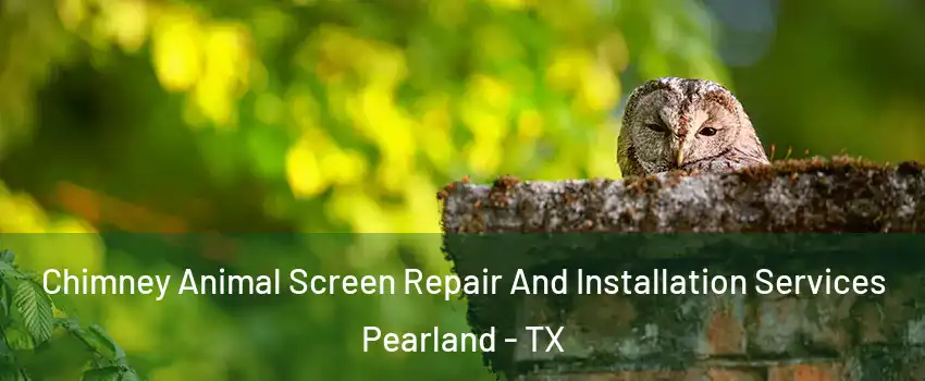  Chimney Animal Screen Repair And Installation Services Pearland - TX