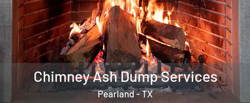  Chimney Ash Dump Services Pearland - TX