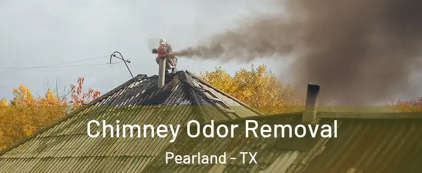  Chimney Odor Removal Pearland - TX