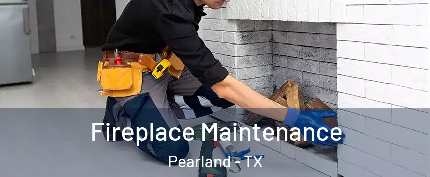  Fireplace Maintenance Pearland - TX