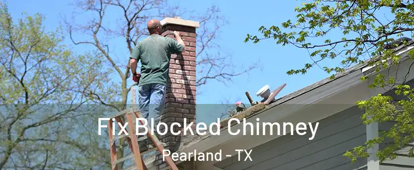  Fix Blocked Chimney Pearland - TX