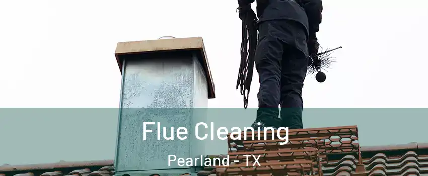  Flue Cleaning Pearland - TX