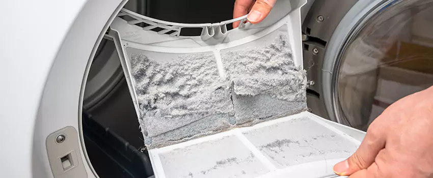 Best Dryer Lint Removal Company in Pearland, Texas