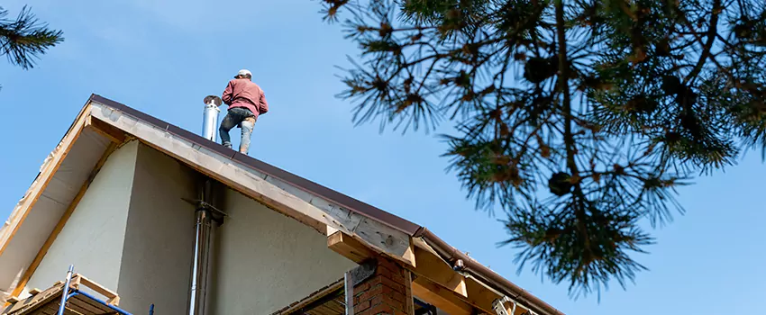 Birds Removal Contractors from Chimney in Pearland, TX