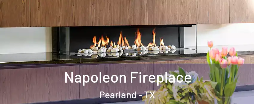 Napoleon Fireplace Pearland - TX