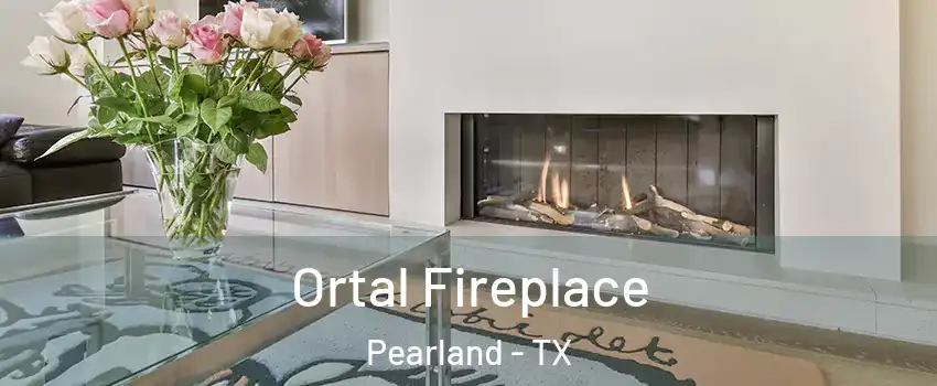  Ortal Fireplace Pearland - TX